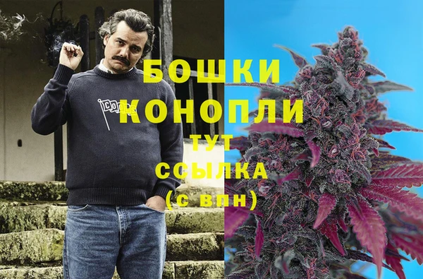 первитин Ельня