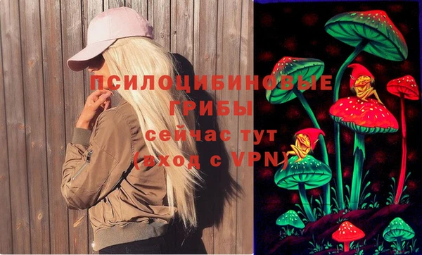 первитин Ельня